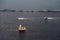 Several yachts and sailboats go to sea under sail. View from above.