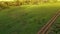 Several young beautiful horses graze in the evening on a meadow at yellow red sunset, aerial view fly around and up