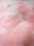 Severe eczema skin rash and allergic reaction symtom at child body cause by hypersensitivity