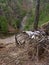 Severe Erosion along a steep ravine above a river reveal the bare root systems of pine trees in soil