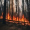 A severe forest fire with flames engulfing the underbrush.