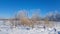 Severe Russian winter snowy landscape, frosty day