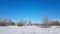 Severe Russian winter snowy landscape, frosty day