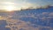 Severe Russian winter snowy landscape, sunset