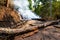 A severe wildfire burnt the trees in the forest until they collapsed and blocked the country road.