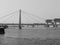 Severin Bridge in Koeln, black and white