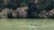 Sevilla, Spain. Rowers training on the river Guadalquivir