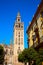 Seville cathedral Giralda tower Sevilla Spain