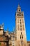 Seville cathedral Giralda tower Sevilla Spain