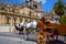 Seville horse carriages in Cathedral of Sevilla