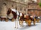 Seville horse carriages in Cathedral of Sevilla