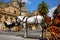 Seville horse carriages in Cathedral of Sevilla