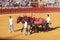 Seville - May 16: Getting ready for excitement at the bullfight