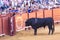 Seville - May 16: Spanish torero is performing a bullfight at th