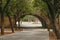 Seville, Spain, February 15 2021: Paseo del muelle de la sal, next to the Guadalquivir river and the Triana bridge.