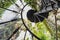 Seville, Spain - October 28, 2017: low-angle shot of spiral staircases in gardens of Palace of the Dukes of Alba or Palacio de las