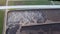 Sewage treatment plant, closeup, aerial view