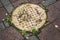 Sewer cast iron manholes on sidewalk. Wet metal is covered with yellow autumn leaves after rain. Time of repair