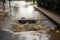 sewer water overflowing onto the sidewalk and into storm drain