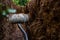 Sewer and water pipe in an excavated trench deep in the ground, close up.