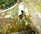 Sewerage of wastewater in a small vilage in Indonesia