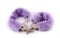 Sexual cuffs with purple fur