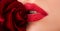 Sexual full lips. Natural red gloss of lips and woman's skin. Lips with lipstick closeup. Beautiful woman lips with rose