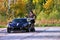 Sexual young woman standing near low sport car