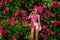 Sexy blonde woman in pink bikini and big hat on the sun-tanned slim and shapely body is posing in  roses garden. Bikini fashion.