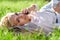 Sexy blonde woman talking on the mobile phone and lying on meadow