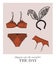 Sexy lingerie set, bra and undies underwear collection with bunny ears playtime illustration. Plus size undergarment collection