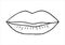 Sexy plump lips kiss isolated line art. Doodle beautiful woman lips. Beauty element in minimal line style. Vector