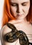 Sexy redhead woman holding snake. close-up photo girl with pygmy python on a white background