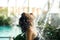 Sexy slim female in swimsuit takes shower in swimming pool between green bushes on rooftop with city scape background