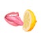 Sexy women`s tongue licks or tastes lemon. Attractive female mouth.