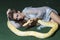 Sexy young woman posing with albino python against green background