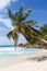 Seychelles Anse Georgette beach on Praslin island palm portrait format vacation sea