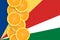 Seychelles flag and citrus fruit slices vertical row