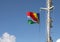 Seychelles flag streaming in the wind on the mast of