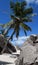 Seychelles. La Digue Island. The scenic path to the beach between huge black boulders