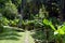 Seychellesâ€™ National Botanical Gardens