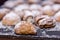 Sfogliatella, typical Neapolitan pastry, Naples, Italy