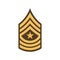 SGM sergeant major insignia US army rank isolated