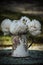 A shabby-chic enamel jug holds a bunch of white flowers on an old wrought iron table