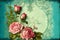 Shabby chic rose pastel background