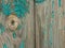 Shabby emerald paint on a wooden board with knot.