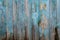 Shabby faded old light blue painted vertical wooden boards with peeling and circles from knots.