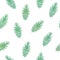 Shabby fir-tree branches on white background. seamless winter pattern with spruce