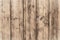 Shabby gray wooden boards. Hardwood surface. Retro oak dirty fence. Obsolete wood backdrop of table. White wood floor texture grun