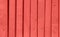 Shabby Narrow Plank Wood Fence Background. Bright Trendy Living Coral Color. Surface Texture with Details Nails Holes